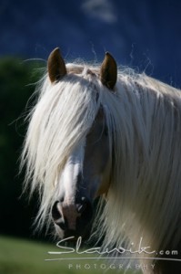 Obrazek